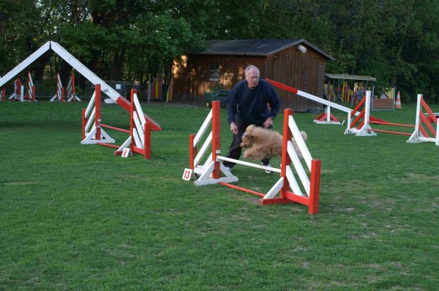 agility 2011-04